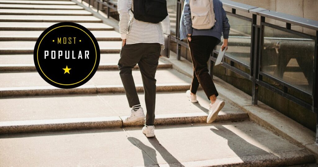 マンティス26が人気の理由